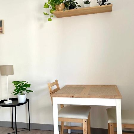 #Dd L'Ecrin Studio Ile Verte Balcony Grenoble Ngoại thất bức ảnh